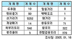 강화도 겨울철새 조사 내용 